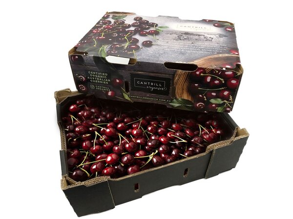 Sản xuất hộp carton đựng cherry giá xưởng tại TPHCM