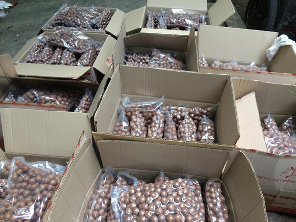 Sản xuất hộp carton chứa hạt macadamia xuất khẩu tại TP. HCM